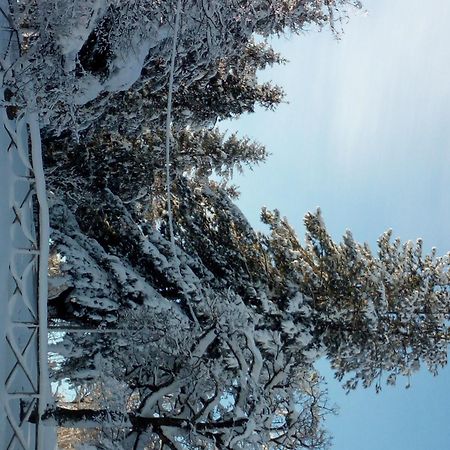 Bed and Breakfast Il Castagno Montemonaco Exterior foto